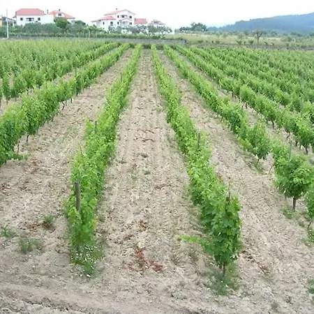 Quinta Da Tapada Do Pontao Gouveia (Guarda)